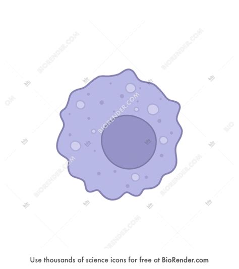 Free Macrophage Icons Symbols Images BioRender