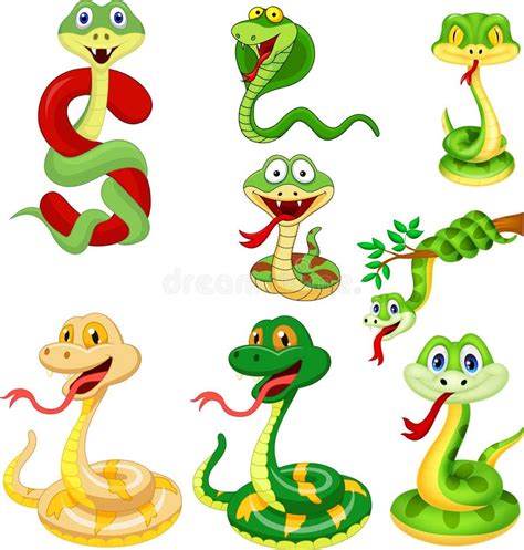 Cartoon Snake Frame Stock Vector Illustration Of Adorable 54299249