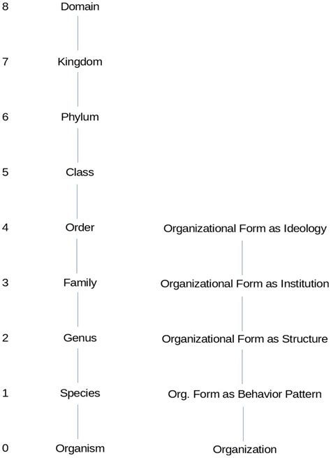 Frontiers Hierarchy And Diffusion Of Organizational Forms