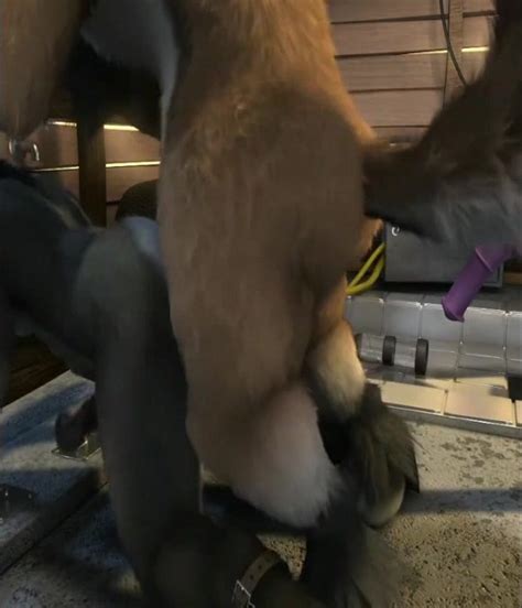 WOLF DONKEY STABLE FUCK 3D ThisVid
