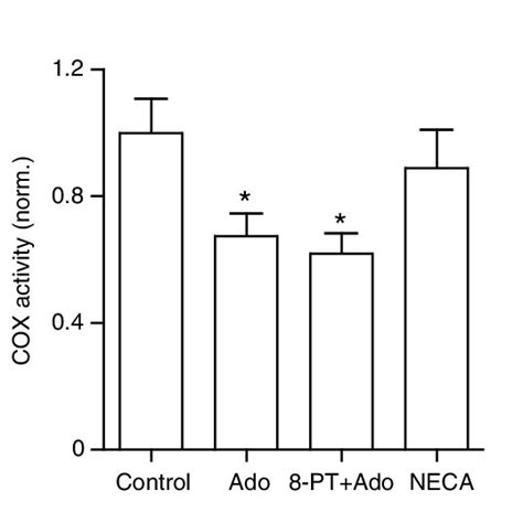 Influence Of An Adenosine Receptor Antagonist And Agonist On Adenosine Download Scientific