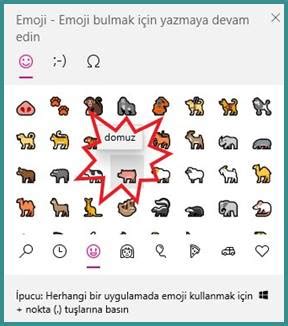 Windows 10 da Domuz Yandan Emojisi Nasıl Yazılır Resimli Anlatım