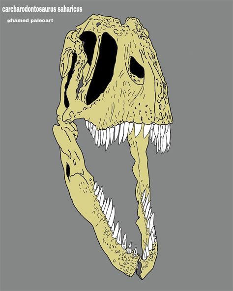 Carcharodontosaurus By Hamedpaleoart On Deviantart