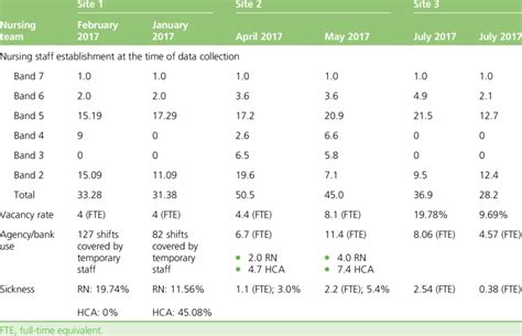 Summary Of Ward Profile Data Nursing Team Download Scientific Diagram