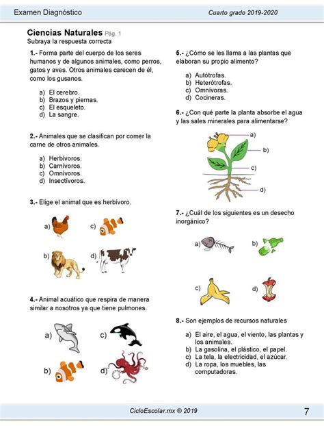 Examen Diagnóstico CUARTO grado 2019 2020 Cuarto grado Grado Examen