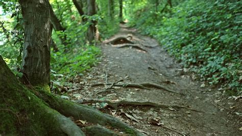 Sentiero La Collettera Sentieri Curiosit Informazioni Sul Monte