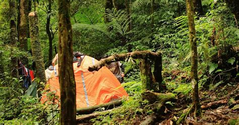 Pendakian Gunung Salak Hari Tektok Via Jalur Cimelati