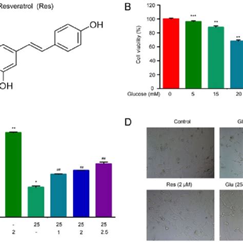 Resveratrol Reverses High Glucose Induced Hlec Viability Suppression