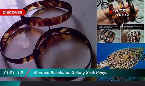 Temukan Manfaat Kesehatan Gelang Sisik Penyu Yang Wajib Kamu Intip