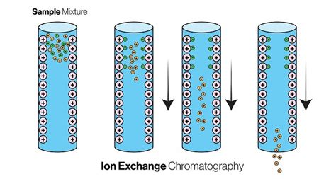 ion exchange chromatography principle steps
