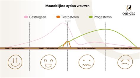 Metomdat® Hormonen In Balans Stap 6 Vrouwencyclus Met Omdat