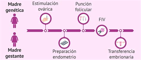 Postupak Avanturista Da Biste Onemogu Ili Metodo Ropa Reproduccion