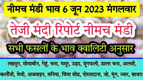 6 जून 2023 मंगलवार नीमच मंडी भाव Today Neemuch Mandi Bhav आज का नीमच