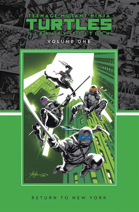 Teenage Mutant Ninja Turtles Books 3