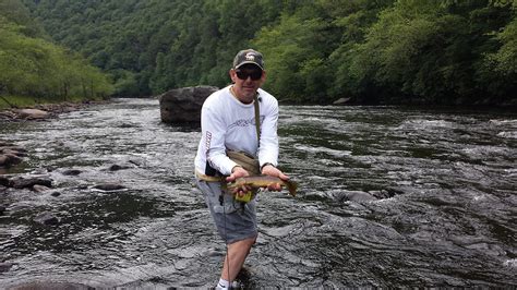 Trout Fishing The Lehigh River The Fisherman