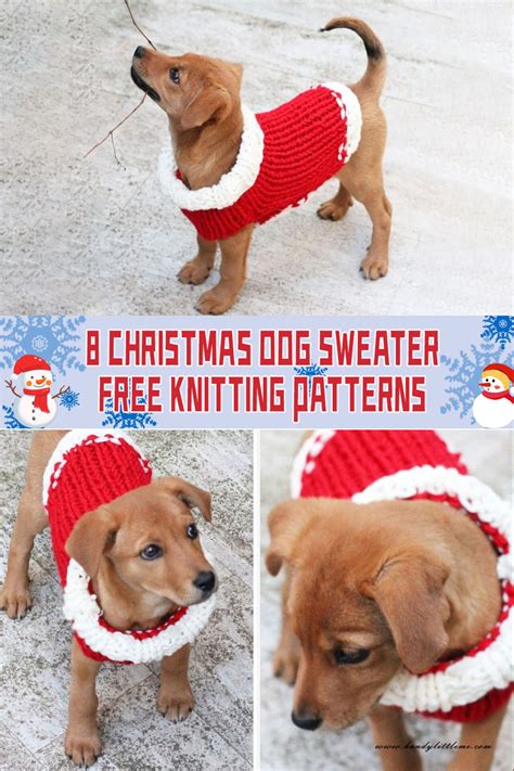 8 Christmas Dog Sweater Knitting Patterns - FREE - iGOODideas.com