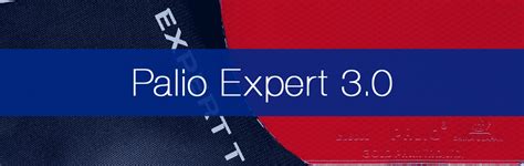 Palio Expert 3.0 Review by a Qualified Coach • Racket Insight