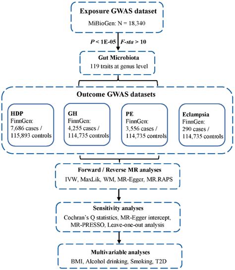 Flowchart Of This Study Gwas Genome Wide Association Studies Hdp