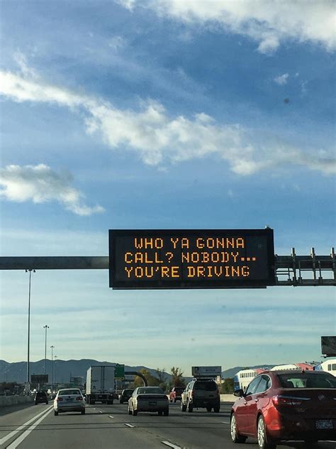 Made the morning commute a little more tolerable – YA MA DONKEY