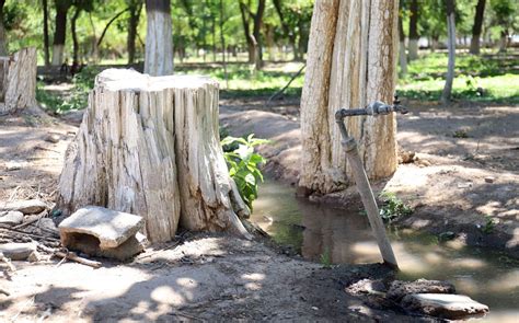 Suprema Corte Concede Amparo Por Concesiones De Agua En La Laguna