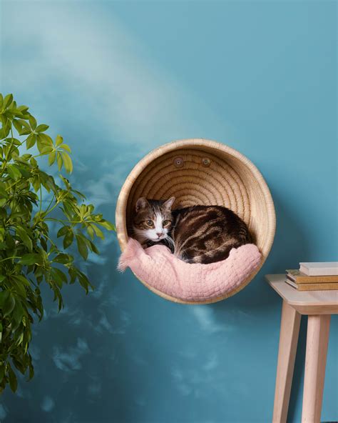 Cat basket – Artofit