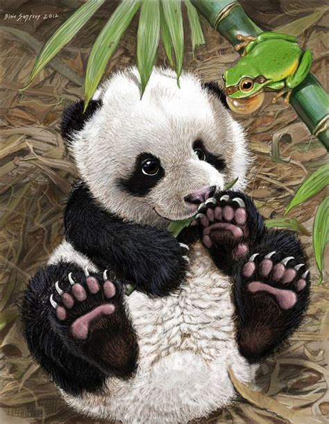 Panda Cub Watches Cute Green Tree Frog By Psithyrus On Deviantart