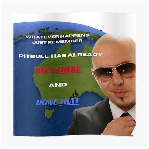 Pitbull Mr. Worldwide Tiktok Meme Believe me been there done that ...