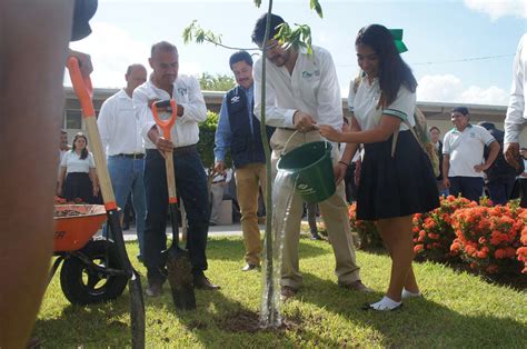 La Capital Campana De Reforestacion Logra Sembrar Mas De Mil Arboles