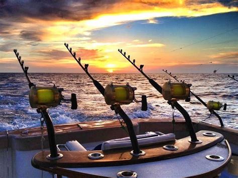 16 Incredible Deep Sea Fishing Equipment Deep Sea Fishing Poles And