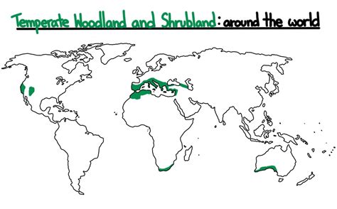 Temperate Woodland And Shrubland Biome