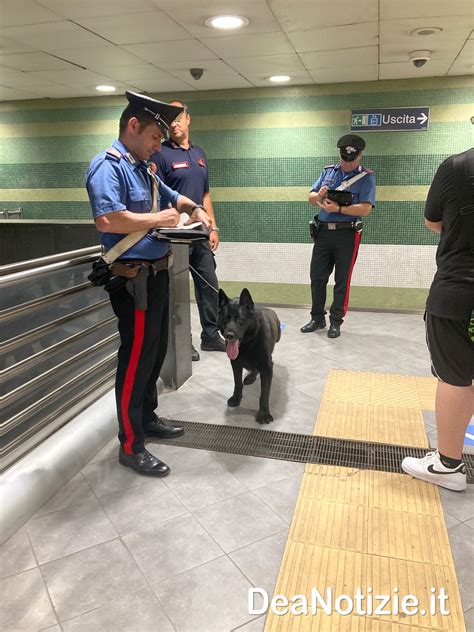 Il Cane Carabiniere Luna E Il Robot Saetta Incontrano Gli Studenti