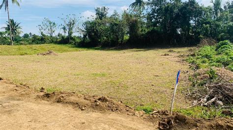 Farm Lot For Sale In Esperanza Alfonso Near Tagaytay On Carousell