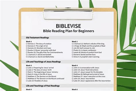 Bible Reading Plan for Beginners (With Printable PDF)