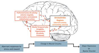 Chapter Neuroimaging Biomarkers In Pediatric Mood Disorders