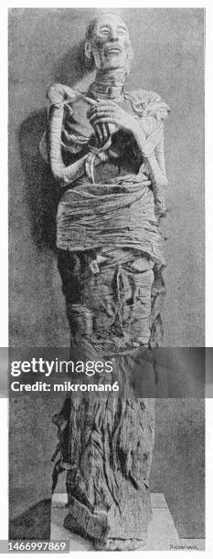 4104 Egyptian Mummies Stock Photos High Res Pictures And Images