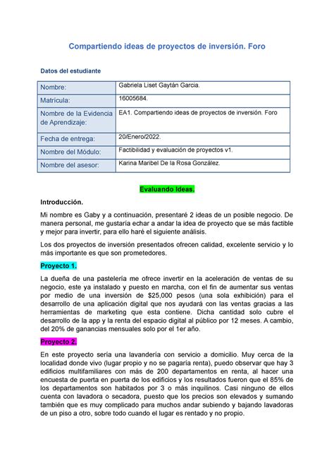 Proyectos De Inversi N Tipo Foro Factibilidad Y Evaluaci N De