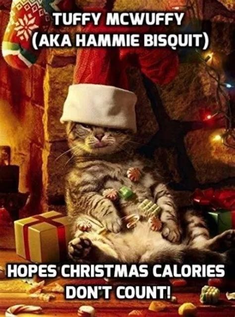 Funniest Merry Christmas Memes With Hilarious Christmas Images