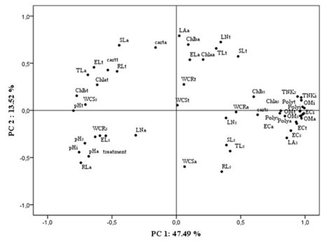 Principal Component Analysis Pca Of The Morphological And Download Scientific Diagram