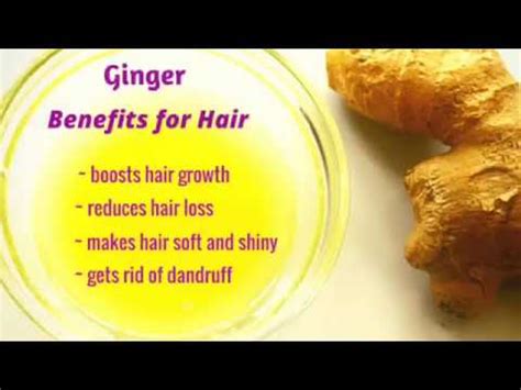 How To Make Ginger Oil Ginger Hair Oil Ghar Par Kaishe Bnaye YouTube