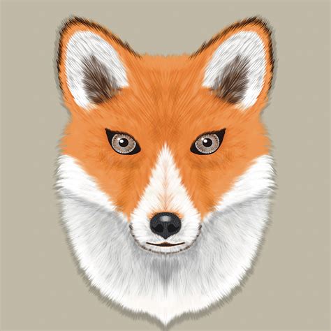 Illustration Procreate Nature Animals Drawing On Behance