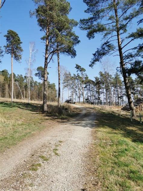 Rehweg Bei Obersulzbach We P Romantisches Franken Urlaub Und Freizeit