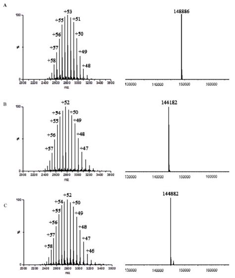 Designer α1 6 Fucosidase Mutants Enable Direct Core Fucosylation of