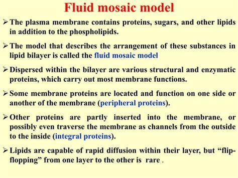 Bacterial-cell-membrane.pdf