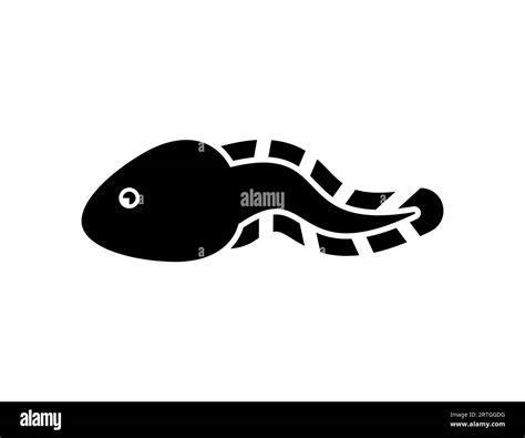 Tadpole Isolated Frog Larva Vector Illustration Stock Vector Image