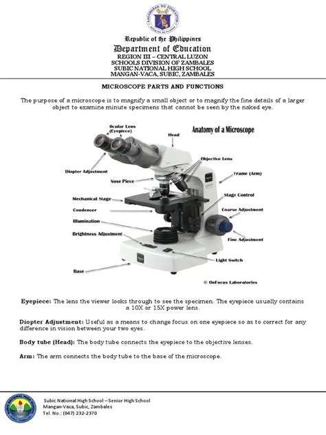 Microscope Parts and Functions | PDF | Vision | Electromagnetism