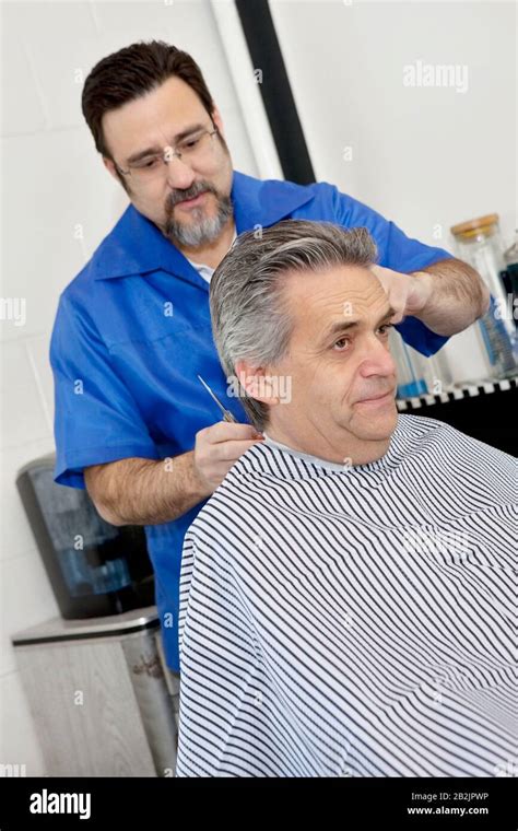 Barber Cutting Hair Of Mature Male Customer Stock Photo Alamy
