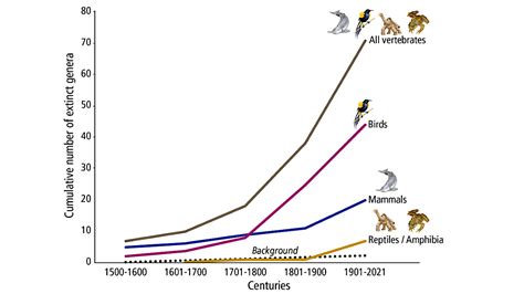 Human Driven Mass Extinction Is Eliminating Entire Branches Of The Tree