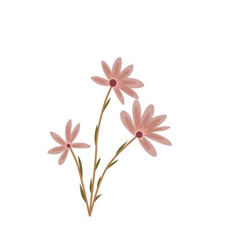 Aesthetic Flower Png Vectores Psd E Clipart Para Descarga Gratuita Porn Sex Picture