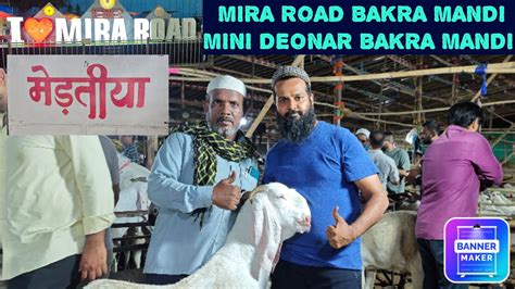 Qurbani Bakrebaazi At Mira Road Meditya Bakra Mandi Mini Deonar