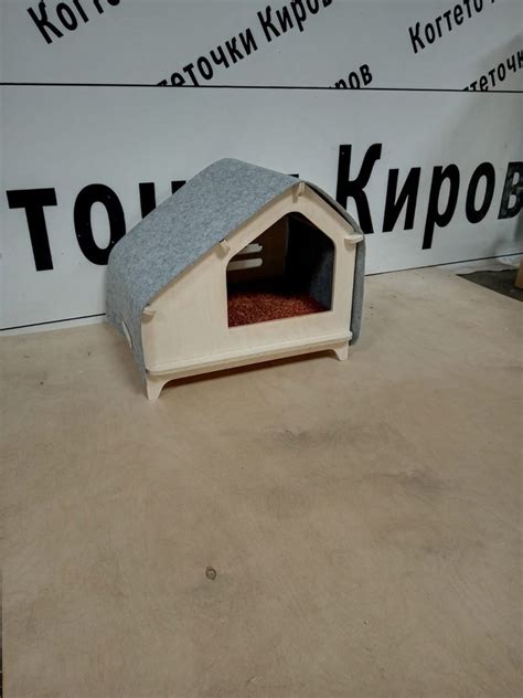 Кировские когтеточки 2024 | ВКонтакте